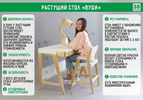 Комплект растущий стол и стул с чехлом 38 попугаев «Вуди» (Белый, Белый, Клетка) в Менделеевске - mendeleevsk.mebel-74.com | фото