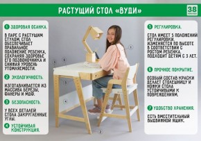 Комплект растущий стол и стул с чехлом 38 попугаев «Вуди» (Серый, Береза, Салют) в Менделеевске - mendeleevsk.mebel-74.com | фото