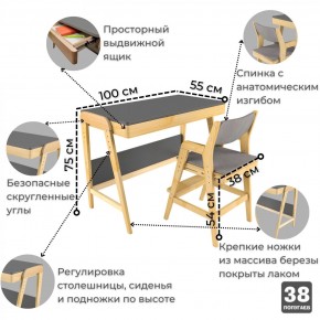 Комплект растущий стол и стул с чехлом 38 попугаев «Вуди» (Серый, Береза, Серый) в Менделеевске - mendeleevsk.mebel-74.com | фото