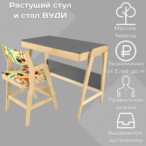 Комплект растущий стол и стул с чехлом 38 попугаев «Вуди» (Серый, Без покрытия, Монстры) в Менделеевске - mendeleevsk.mebel-74.com | фото