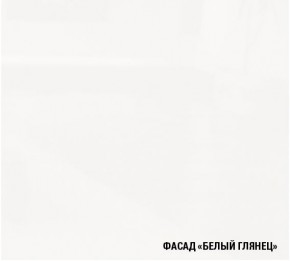 ТЕРЦИЯ Кухонный гарнитур Экстра 5 (3000 мм) в Менделеевске - mendeleevsk.mebel-74.com | фото