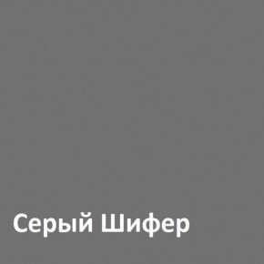 Юнона Шкаф торцевой 13.221 в Менделеевске - mendeleevsk.mebel-74.com | фото